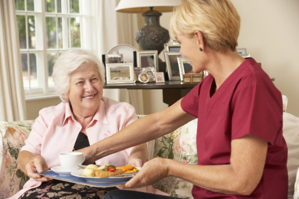 Business Plan: Senior Home-Care Services in Africa