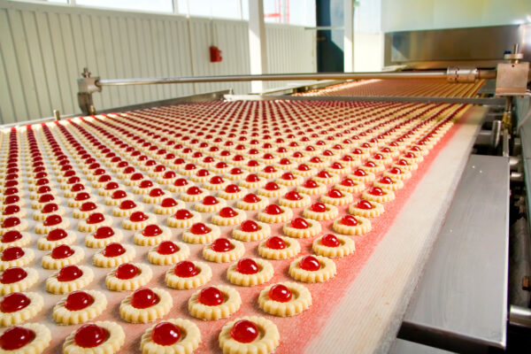 Establishing a cupcake manufacturing plant