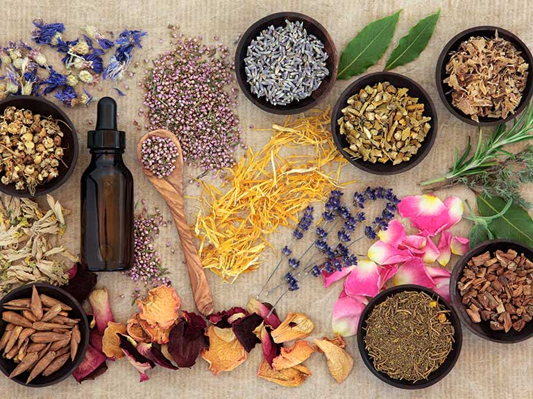Business Plan: Herbal Products Manufacturing in Africa