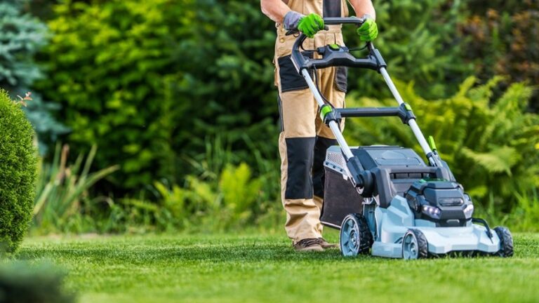 Offer lawn care services