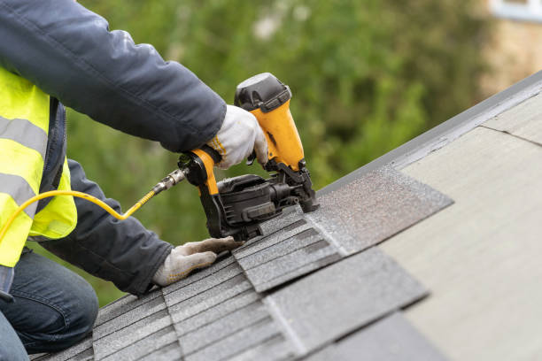 Roof maintenance and restoration business